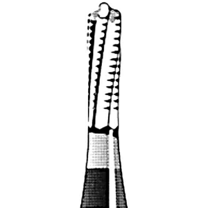Jet 1958 Tungsten Carbide Burs, Fine, Cross Cut, Straight Fissure, Dome Friction Grip, 012, Each Each