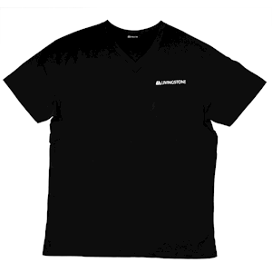 Livingstone V-Neck T-Shirt, 100pct Cotton, 45+ Thread Count, 220GSM Yarn Weight, Large, Black, Each Each