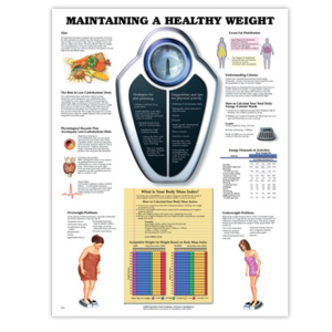 MAINTAINING A HEALTHY WEIGHT CHART RIGID 51 X 66CM Each