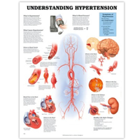 UNDERSTANDING HYPERTENSION CHART 51 X 66CM RIGID Each