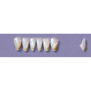 MYERSON ANTERIORS #12/G (1x6 CARD) Card
