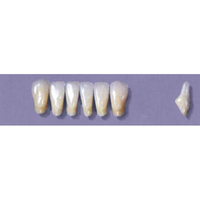 Myerson Anteriors #8/69 (1 x 6 Card), Each