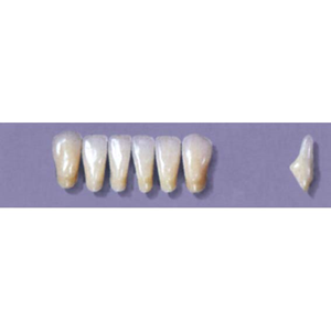 MYERSON ANTERIORS #8/73 (1x6 CARD) Card