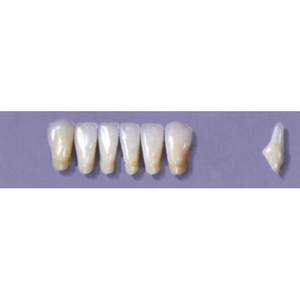 Myerson Anteriors #8/69 (1 x 6 Card), Each
