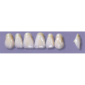 Myerson Anteriors #A11/I (1 x 6 Card), Each