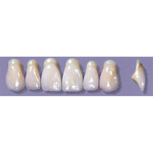Myerson Anteriors #A11/I (1 x 6 Card), Each