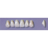 MYERSON ANTERIORS #A2/69 (1x6 CARD) Card
