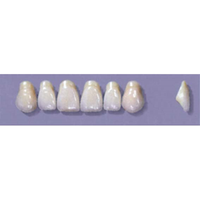 MYERSON ANTERIORS #A43/F (1x6 CARD) Card