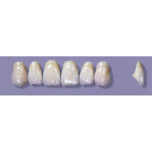 Myerson Anteriors #A11/I (1 x 6 Card), Each