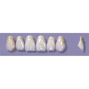 Myerson Anteriors #A11/I (1 x 6 Card), Each