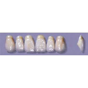 MYERSON ANTERIORS #A53/D (1x6 CARD) Card