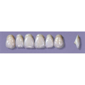 Myerson Anteriors #A11/I (1 x 6 Card), Each