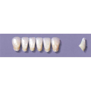 MYERSON ANTERIORS #A71/65 (1x6CARD) Card