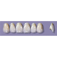 MYERSON ANTERIORS #A72/70 (1x6CARD) Card