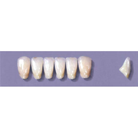 MYERSON ANTERIORS #A73/70 (1x6CARD) Card
