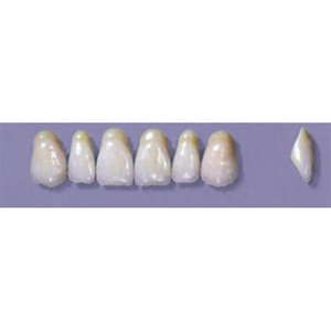 Myerson Anteriors, No A7/69, 6/Card
