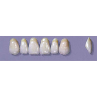 MYERSON ANTERIORS #A7/F (1x6 CARD) Card