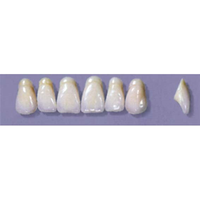 MYERSON ANTERIORS #A9/65 (1x6 CARD) Card