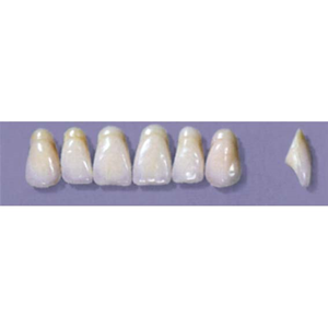 Myerson Anteriors #A9/D (1 x 6 Card), Each