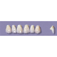 MYERSON ANTERIORS #PM2/70 (1x6CARD) Card