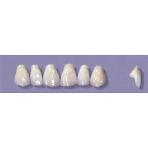 MYERSON ANTERIORS #PM2/70 (1x6CARD) Card
