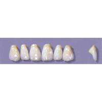 MYERSON ANTERIORS #PM4/69 (1x6CARD) Card