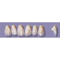 MYERSON ANTERIORS #PM6/D (1x6 CARD) Card