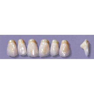 MYERSON ANTERIORS #PM6/D (1x6 CARD) Card