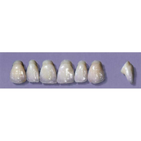 MYERSON ANTERIORS #PW2/D (1x6 CARD) Card