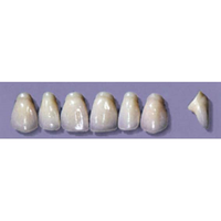MYERSON ANTERIORS #PW4/65 (1x6CARD) Card