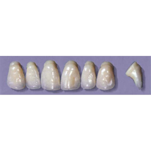 MYERSON ANTERIORS #PW6/73 (1x6CARD) Card