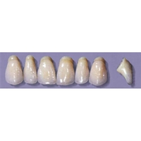 MYERSON ANTERIORS #PW8/60 (1x6CARD) Card