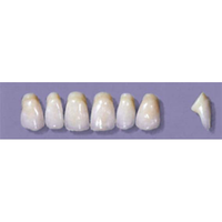 Myerson Anteriors #YM5/58 (1 x 6 Card), Each