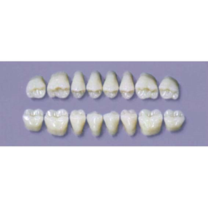 MYERSON DURA POST #28SLL/D (1x8 CARD) Card