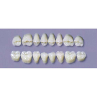 MYERSON DURA POST #28U/D (1x8 CARD) Card