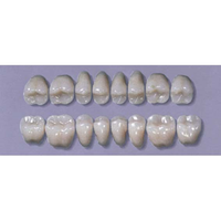 MYERSON POSTERIOR SYN #28LL/62(1x8CARD) Card