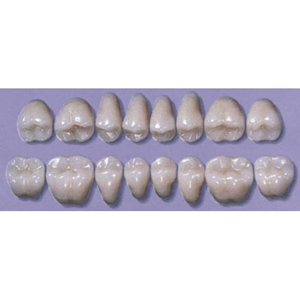 MYERSON DB SYN POST #32LL/60 (1x8 CARD) Card