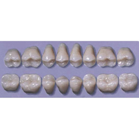 MYERSON DB SYN POST #34ML/73 (1x8 CARD) Card