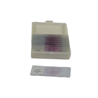 Livingstone Prepared Slide, General Biology, 25 Slides, Each Set
