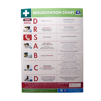Livingstone Resuscitation Chart, Danger - Response - Summon Help - Airway - Breathing - CPR - Defibrillation, A2, Not Laminated, Each Each