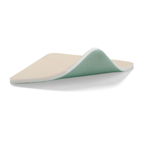 Sorbact Foam, 10cm x 10cm, 10/Box Box