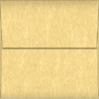ENV. 110X220MM PARCHTONE GOLD 25/PK Pack