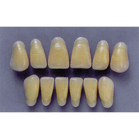 ULTRADENT ANT. 1N/62 UPPER (1x6 CARD) Card