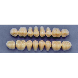 ULTRADENT POST. 29L/66 LOWER (1x8 CARD) Card