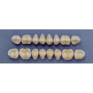 ULTRADENT POST. 29M/62 LOWER (1x8 CARD) Card