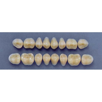 ULTRADENT POST. 29M/65 LOWER (1x8 CARD) Card