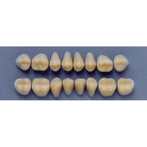 ULTRADENT POST 30L/67 UPPER (1x8 CARD) Card