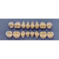 ULTRADENT POST 30M/67 LOWER (1x8 CARD) Card