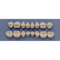 ULTRADENT POST 30S/66 UPPER (1x8 CARD) Card