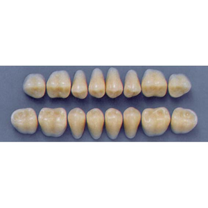 ULTRADENT POST. 31L/67 LOWER (1x8 CARD) Card
